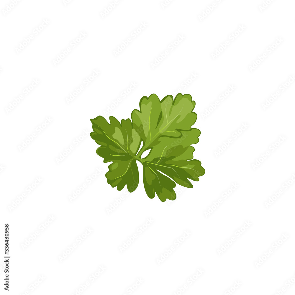 Fototapeta premium Juicy and fresh parsley large plan on a white isolated background vector illustration