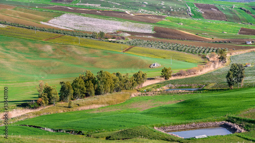 Obraz na płótnie spring landscapes in Sicily, Italy w salonie