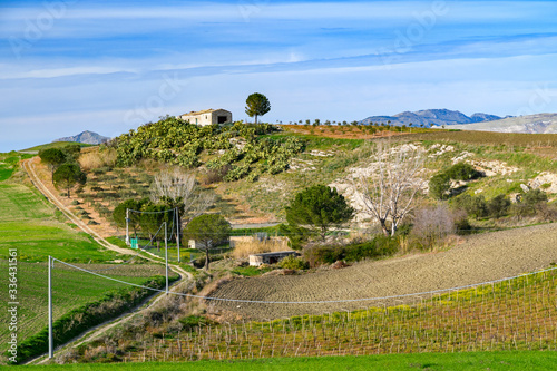 Obraz na płótnie spring landscapes in Sicily, Italy w salonie