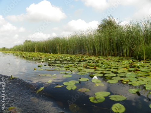 lake in the park