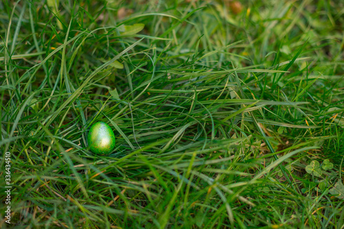 one green pearl painted quail egg for Easter on green grass in the park Easter concept