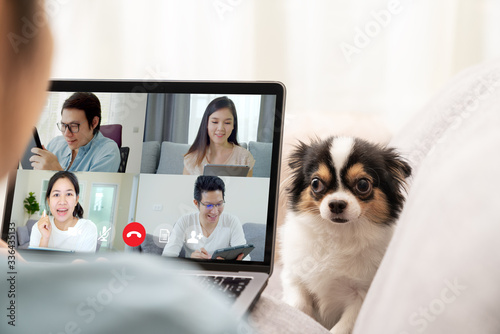 Back view of business woman and team on laptop screen talking and discussion in video conference and dog interruption.Working from home, Working remotely, Pets interruption and Self-isolation. photo