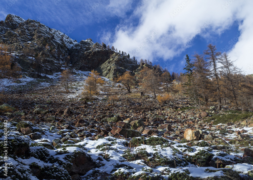 Fototapeta premium ski winter tour in Gesso Valley