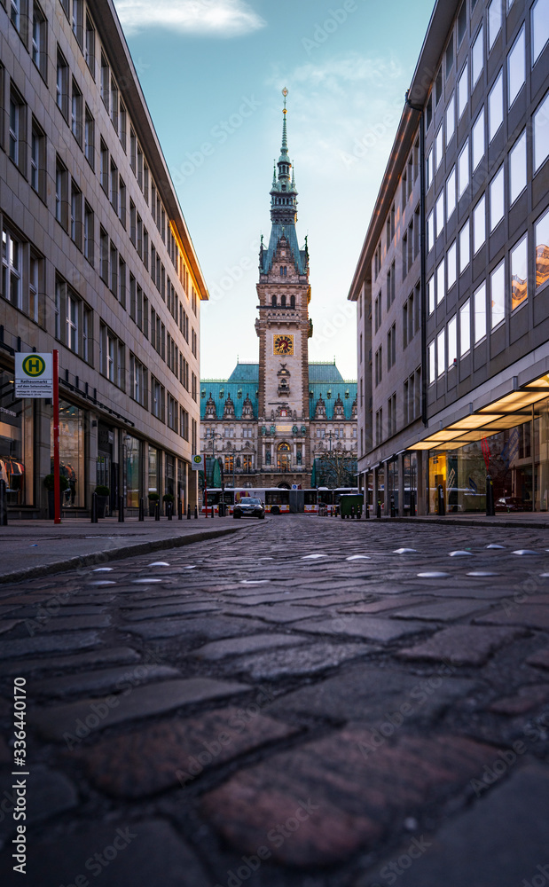 Naklejka premium Hamburg City Hall