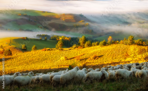 Pieniny po wschodzie słońca