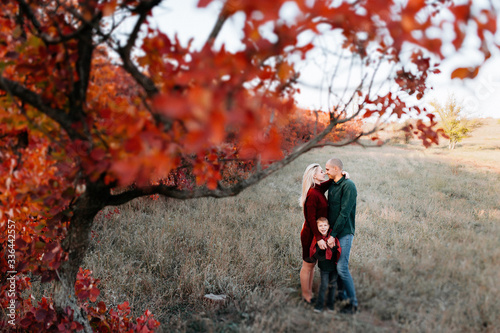 autumn landscape  red and yellow leaves  good sunny weather  family  mom dad and son for a walk  pregnant mother  blonde pregnant girl  joy  happiness  happy family expecting a baby  older brother