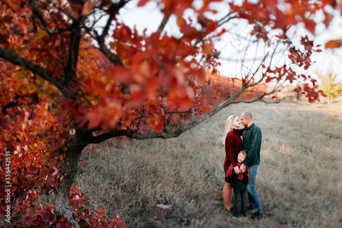 autumn landscape, red and yellow leaves, good sunny weather, family, mom dad and son for a walk, pregnant mother, blonde pregnant girl, joy, happiness, happy family expecting a baby, older brother © Olga Gordeeva