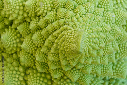 Close-up of natural fractals of Romanesco broccoli (also known as Roman cauliflower, Broccolo Romanesco, Romanesque cauliflower or simply Romanesco). Viewed from above, abstract full frame photo.
