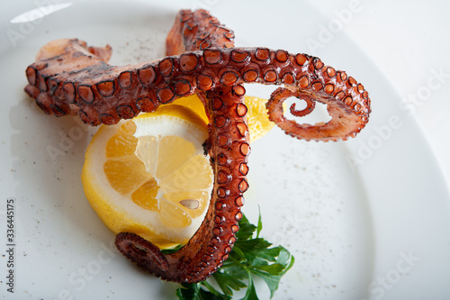Octopus. The recipe for cooking.