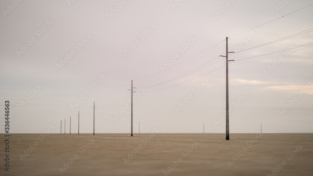 Telephone Poles in Water