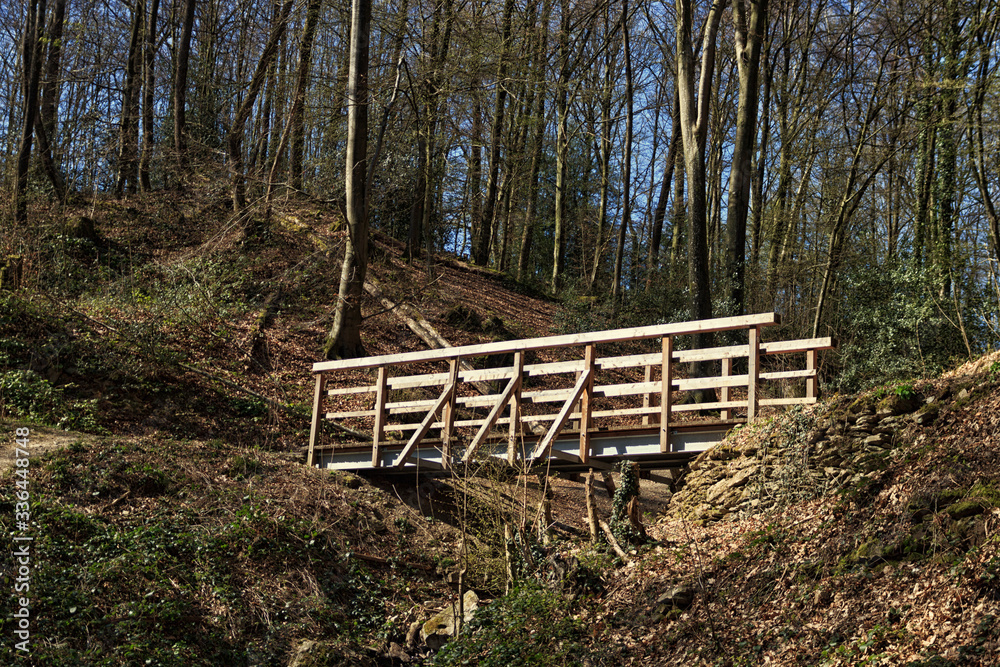 Eine Fußgängerbrücke aus Holz im Wald.
A wooden pedestrian bridge in the forest.
