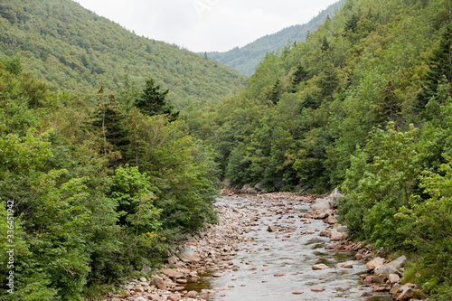 Creek bed leading through a forested mountain range.