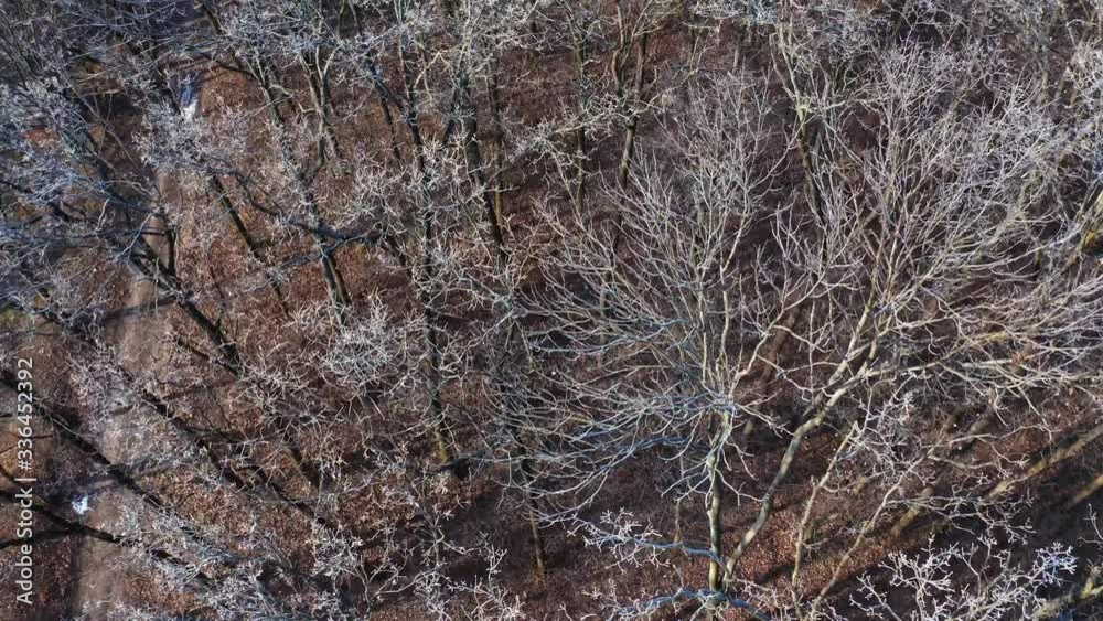 Winter landscape in the forest. Top down view of the forest in winter Winter landscape in the forest. Top down view of the forest in winter