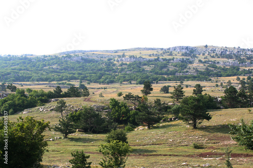 Crimea, Ay-Petri, nature