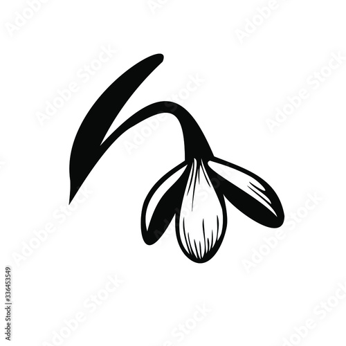 Snowdrop spring flower vector logo, icon, isolated on white background.
