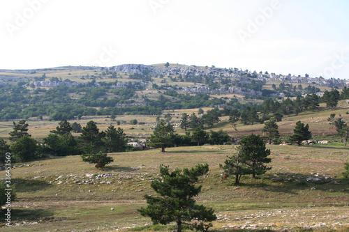 Crimea, Ay-Petri, nature