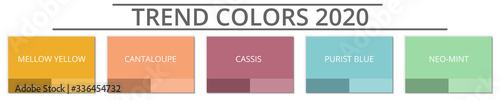 2020 colors trend palette. Set of colors for design. Vector illustration
