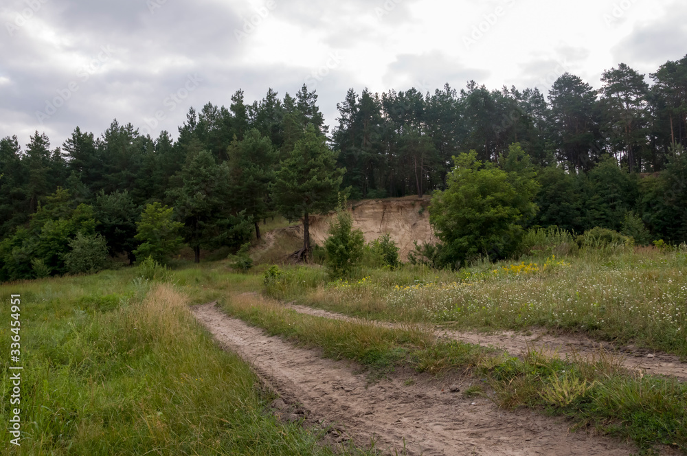 Sand quarry in the forest. Breakage or precipice, fall... Summer landscape Sand quarry in the forest. Breakage or precipice, fall... Summer landscape