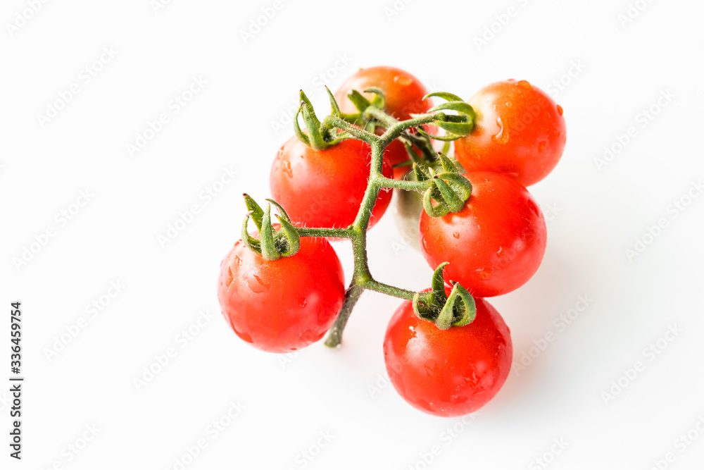 tomato on white background. Lycopersicon esculentum. tomato on white background. Lycopersicon esculentum.