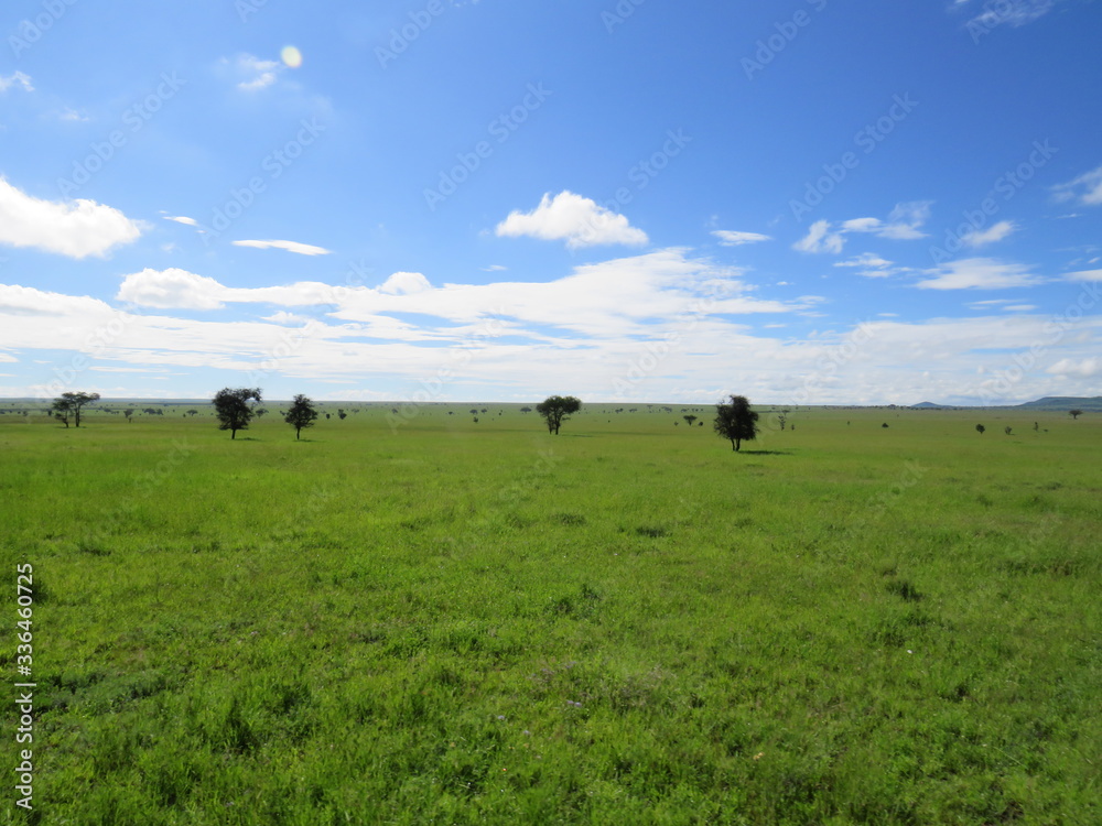 landscape, grass, skyrafa, field, nature, green, sheep, mountain, mountains, summer, farm, meadow, clouds, rural, agriculture, hill, pasture, countryside, blue, herd, hills, country, cow, animal, tree landscape, grass, skyrafa, field, nature, green, sheep, mountain, mountains, summer, farm, meadow, clouds, rural, agriculture, hill, pasture, countryside, blue, herd, hills, country, cow, animal, tree
