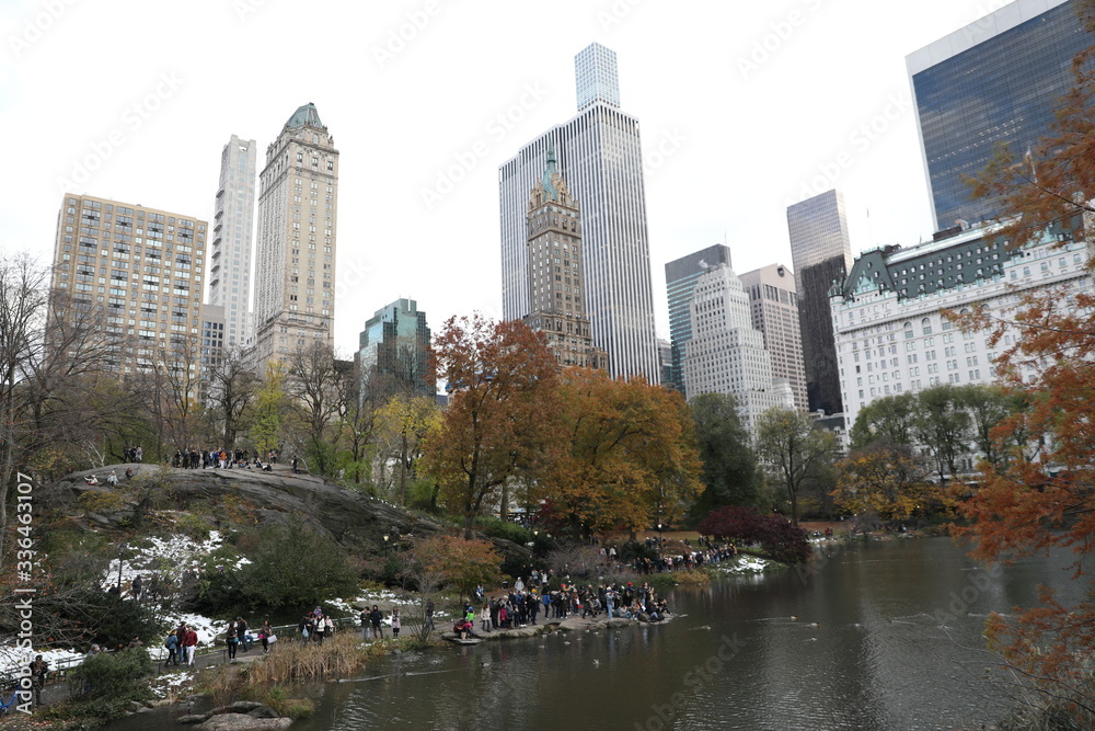 View of Central Park in New York