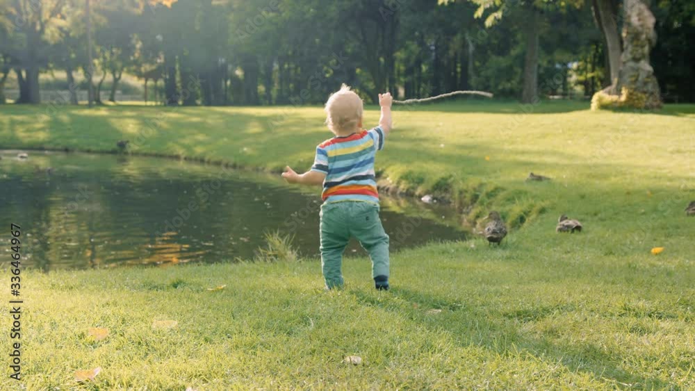 Toddler awkwardly walks toward duck and pond while waving stick Toddler awkwardly walks toward duck and pond while waving stick