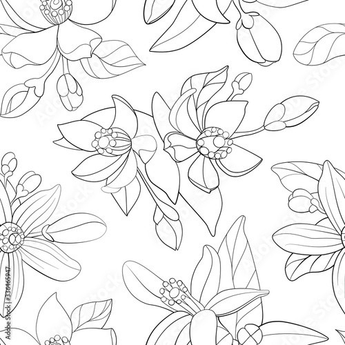 fleur d'orange