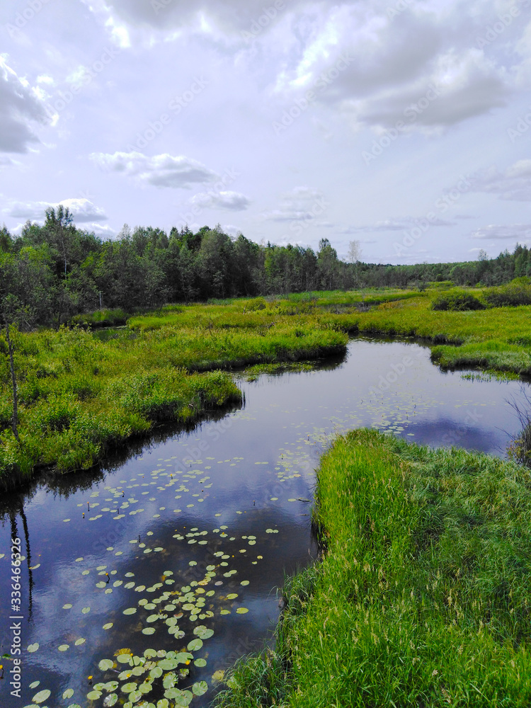 Fototapeta premium Green field far away from the city