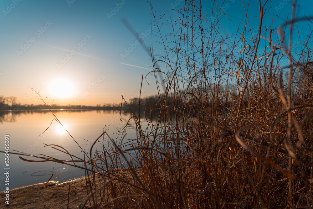 Dry plants in the winter with lake and sunset in the background Dry plants in the winter with lake and sunset in the background