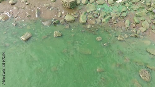 Coast of lake full of green algae and cyanobacteria photo