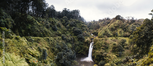Hawaii Maui