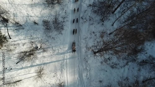 Snow in the road  Siberian Husky sled dogs, Lake Baikal, Siberia, Russia