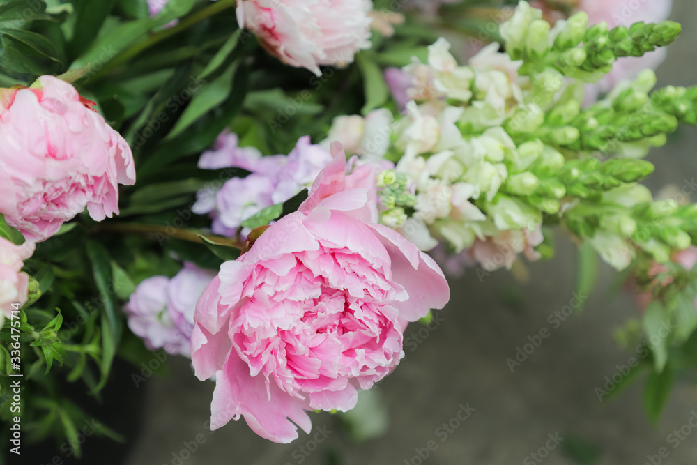 Beautiful delicate pink peonies close-up on a green background. Summer. Beautiful delicate pink peonies close-up on a green background. Summer.