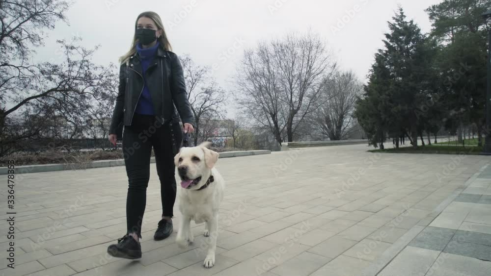 Woman with black mask walks with her labrador dog in the park during the quarantine coronavirus COVID-19 pandemic in 2019-2020 coronavirus quarantine Woman with black mask walks with her labrador dog in the park during the quarantine coronavirus COVID-19 pandemic in 2019-2020 coronavirus quarantine
