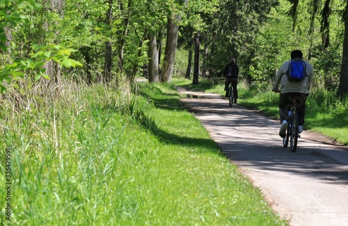 Wallpaper Mural Nature trail with recreational activity  Torontodigital.ca