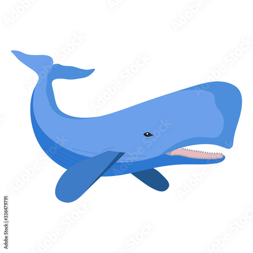sperm whale image, blue sperm whale, marine animal