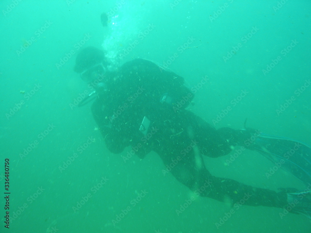 scuba diver scuba diver
