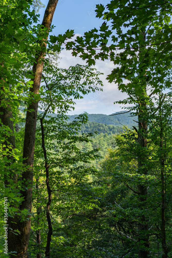 Smoky Mountains landscape along the trails. Smoky Mountains National Park, Tennessee, USA Smoky Mountains landscape along the trails. Smoky Mountains National Park, Tennessee, USA