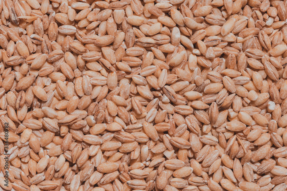 A close up of pearl barley grains. Raw porridge top view. Grain pattern. Vegan Raw Food. A close up of pearl barley grains. Raw porridge top view. Grain pattern. Vegan Raw Food.