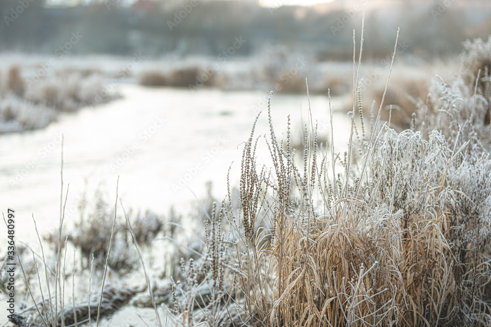 Fototapeta premium Winter river