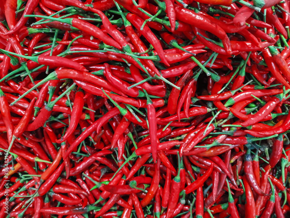 Fototapeta premium red hot chili peppers