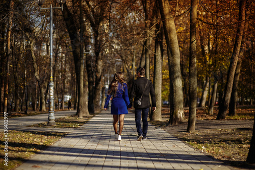 a guy with a girl walking in the park. Autumn in the park. sunny day