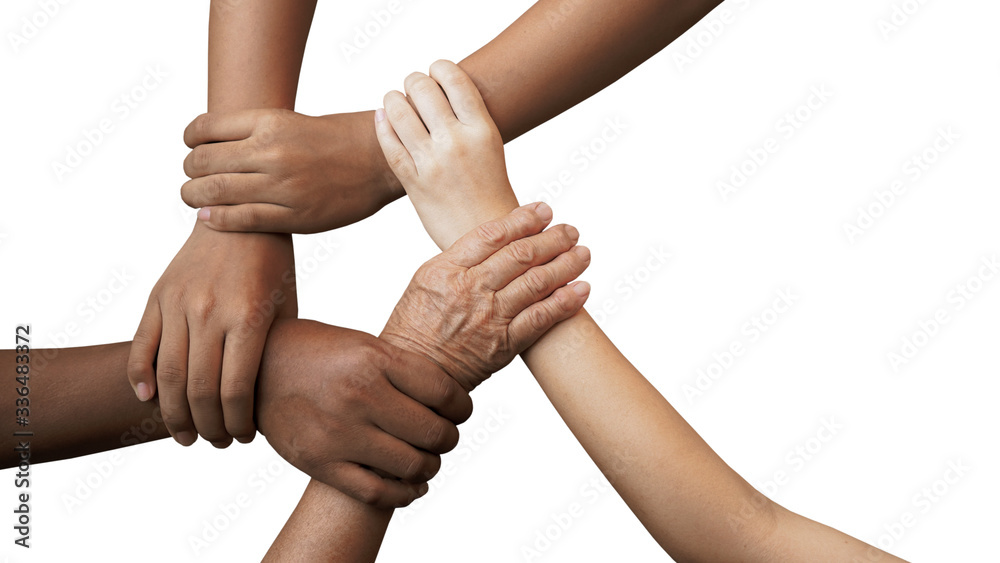 Human join hands together isolated on white background, collaboration of business and education