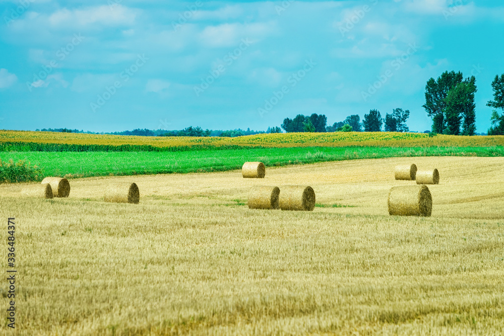 Scenery with hay piles in field in Poland