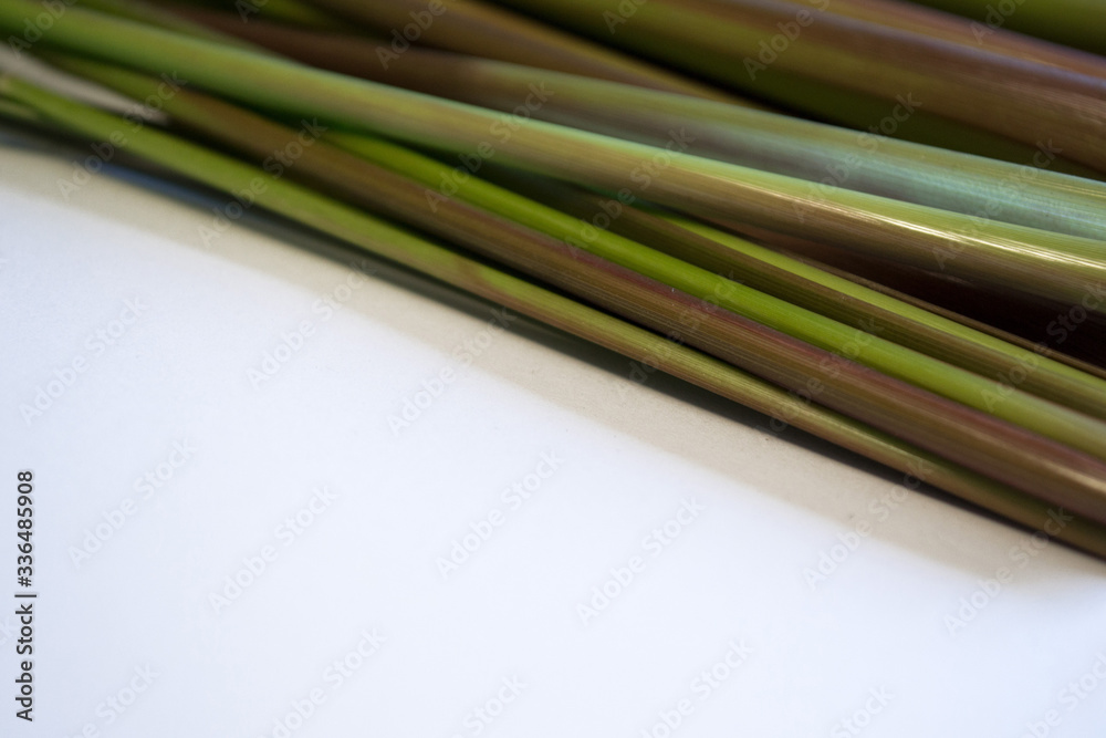 Fototapeta premium Lemongrass over white background.