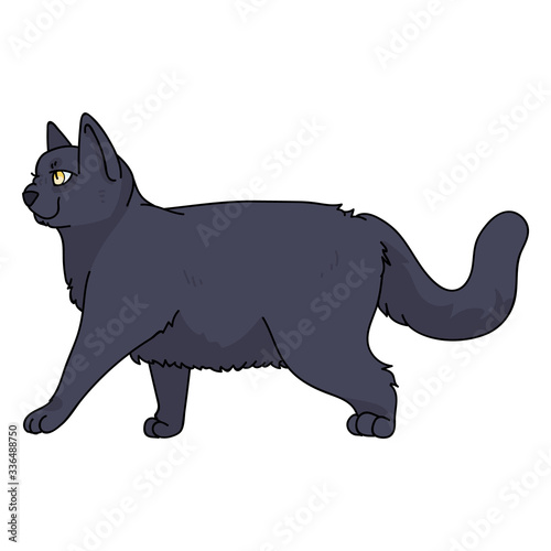 Cute cartoon British shorthair cat vector clipart. Pedigree kitty breed for cat lovers. Purebred domestic kitten for pet parlor illustration mascot. Isolated feline housecat. EPS 10.