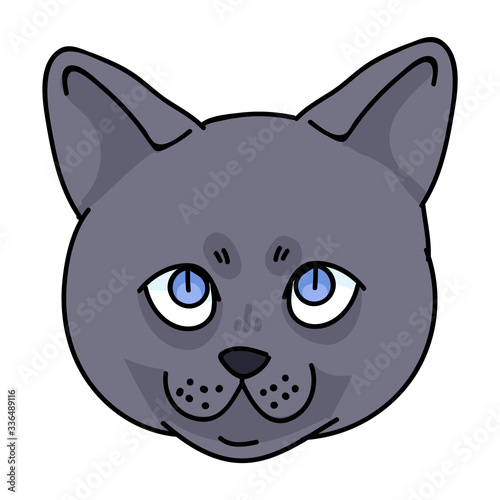 Cute cartoon British shorthair kitten face vector clipart. Pedigree kitty breed for cat lovers. Purebred domestic cat for pet parlor illustration mascot. Isolated feline housecat. EPS 10. 