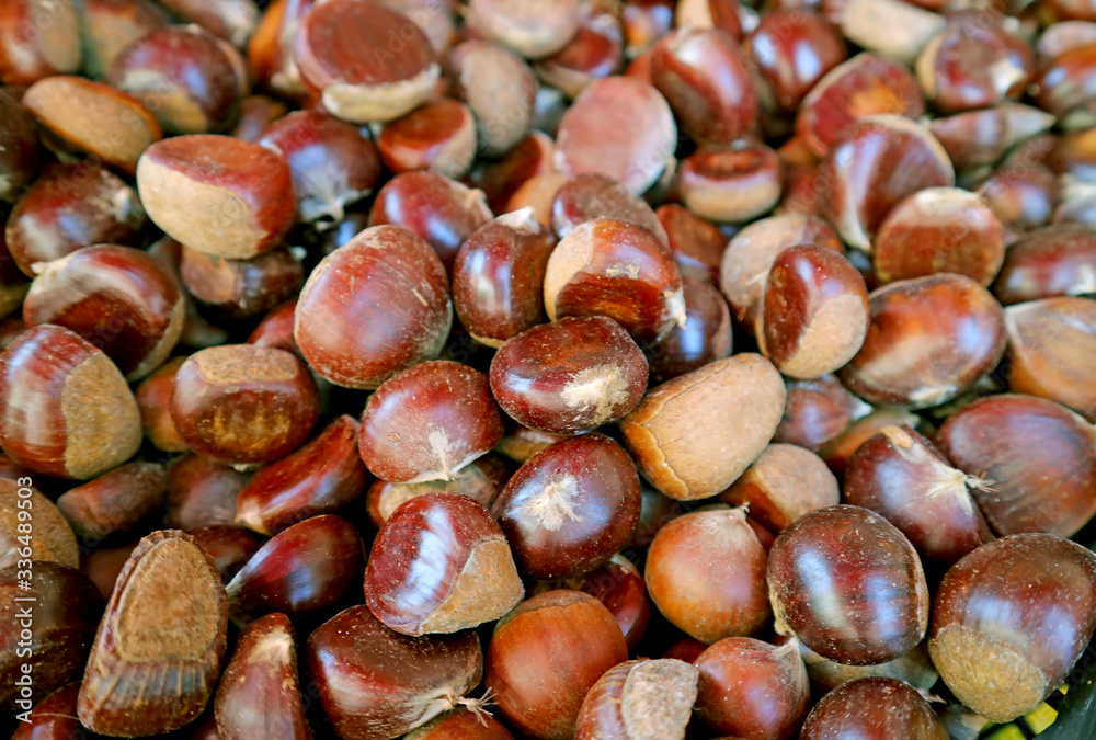 Closeup Heap of Raw Chestnuts at the Market Closeup Heap of Raw Chestnuts at the Market