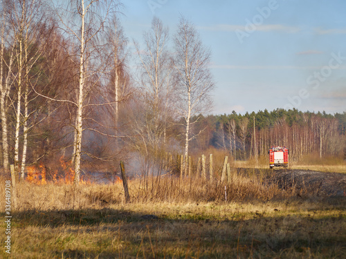 Dry grass field on fire close to the forest. Firefighters response to the threat.