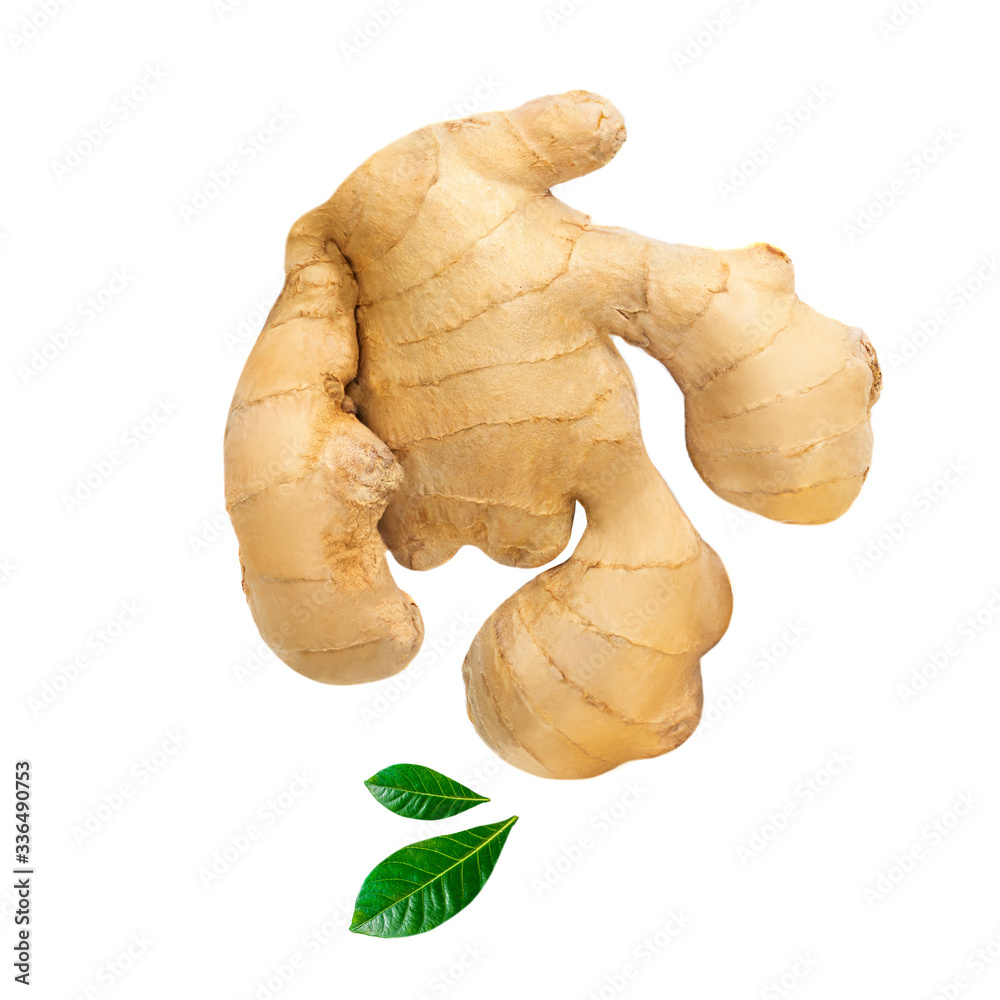 Fresh ginger root with green leaves isolated on white background. Top view. Flat lay. Fresh ginger root with green leaves isolated on white background. Top view. Flat lay.